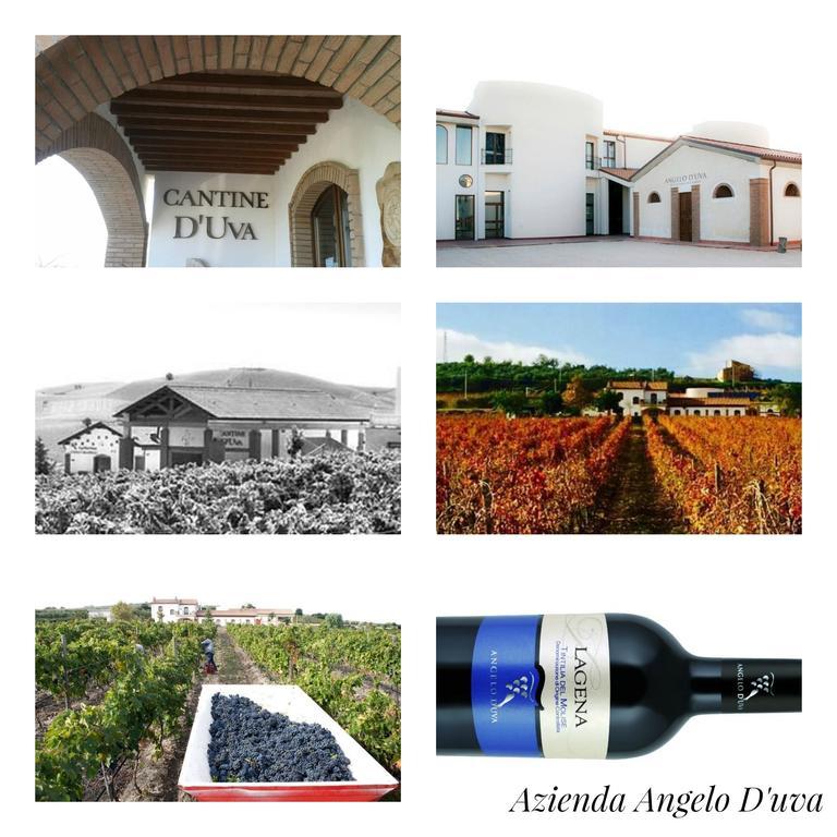 Villa I Dolci Grappoli Larino Esterno foto